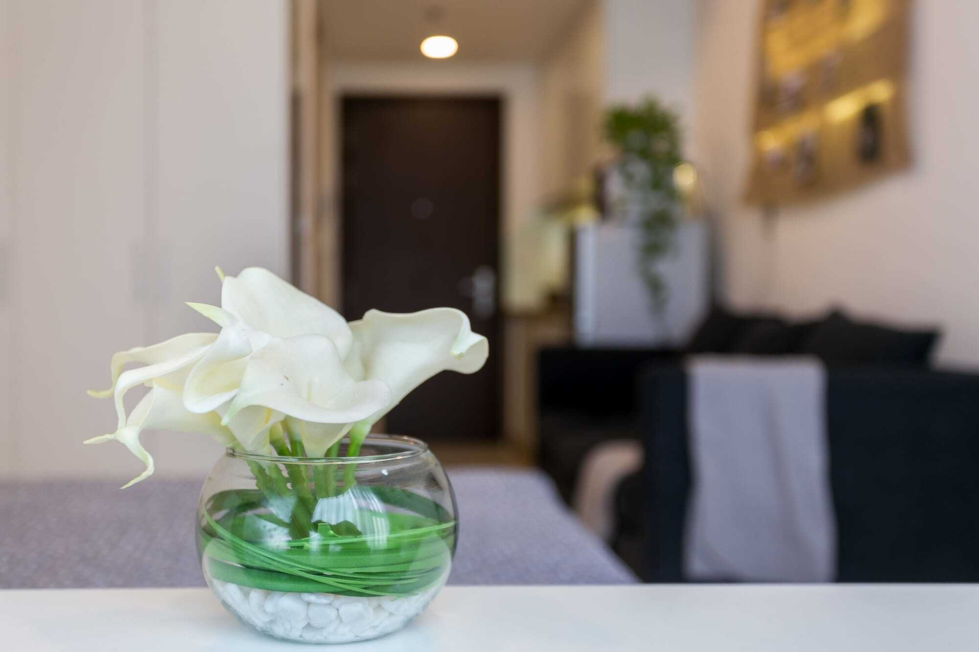 Macy Studio Apartment Ho Chi Minh-Byen Eksteriør billede